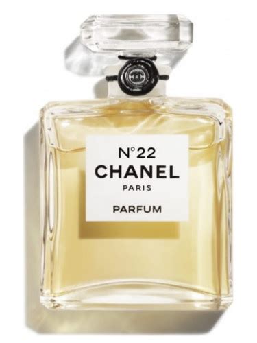 chanel 22 pure perfume|where to buy chanel 22.